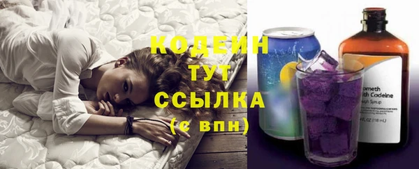 индика Ростов