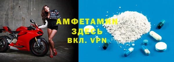 индика Ростов
