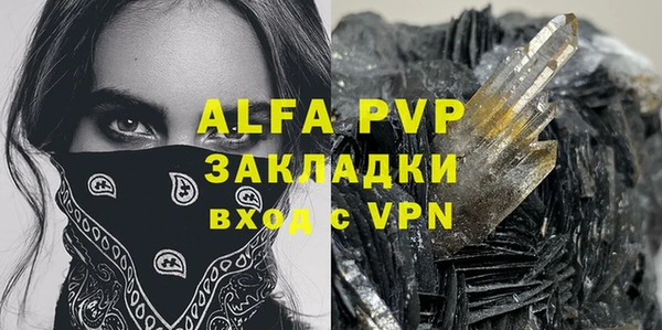 индика Ростов