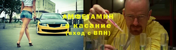 индика Ростов