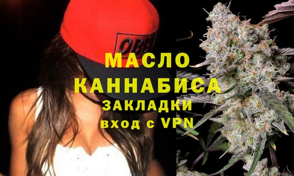 индика Ростов