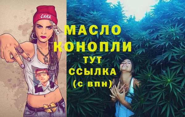индика Ростов