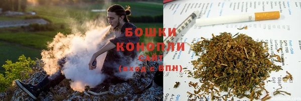 индика Ростов