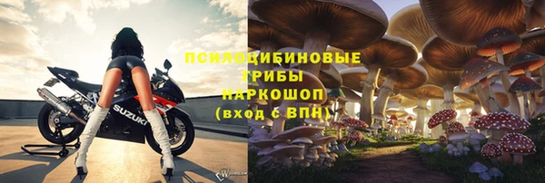 индика Ростов