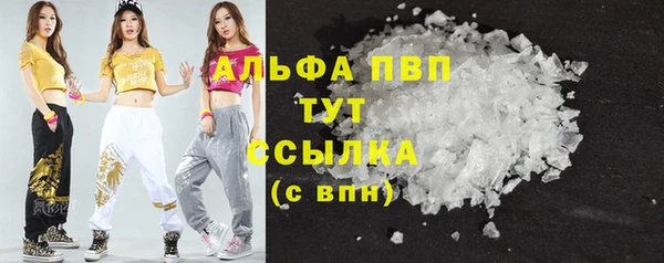 индика Ростов