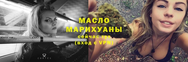 индика Ростов