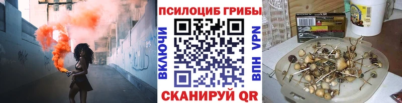 купить наркотики цена  Старица  Псилоцибиновые грибы Psilocybe 